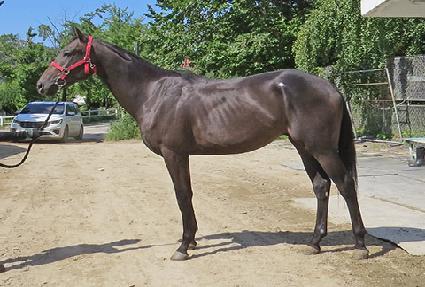 �������� ����