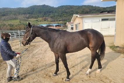 ���ý�Ÿ ����