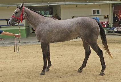 �������� ����