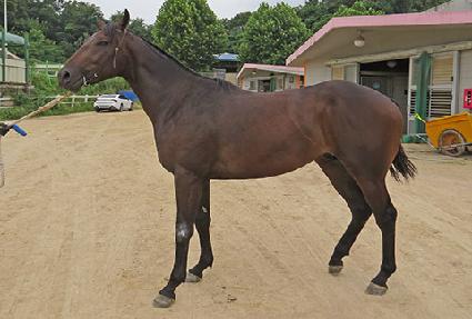 �����۷θ� ����