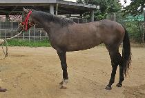 �����帲 (EUNHYE DREAM) ����