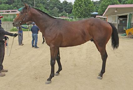 ���� ����