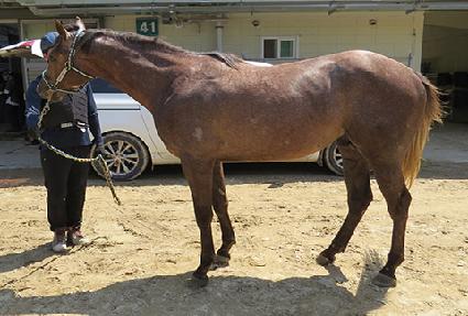 ���ú����̵� ����