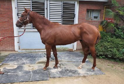 �����򽺸� ����