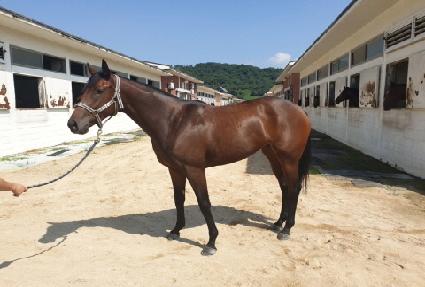 ��Ƽ���� ����