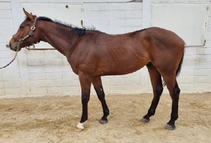 ŷ���� ����