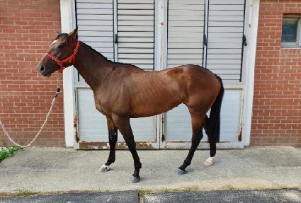 �ٹ�Ʈ�� ����