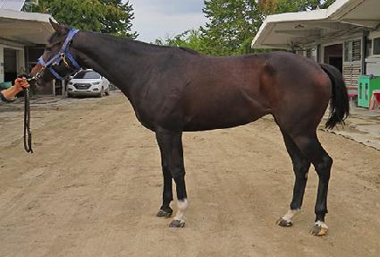 ����Ǯ���� ����