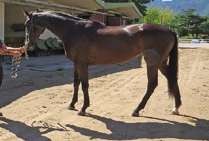 ������ĭ ����