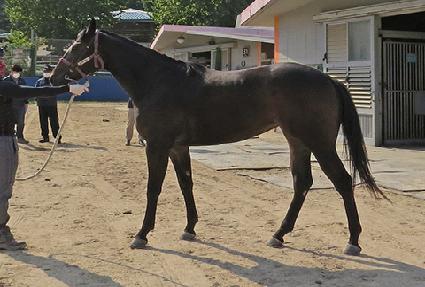 �������� ����