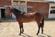 YEONGGWANGUILEGEND picture