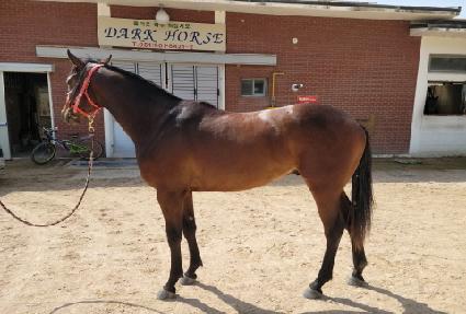 �����Ƿ����� ����