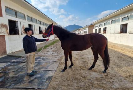 �ǹ��ε� ����