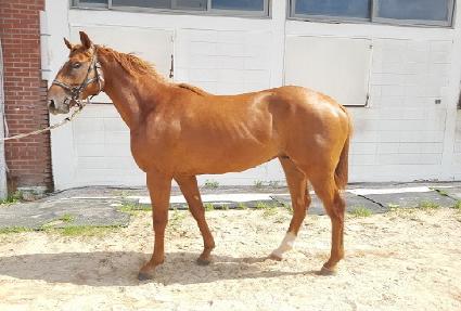 ����Ƽ���� ����