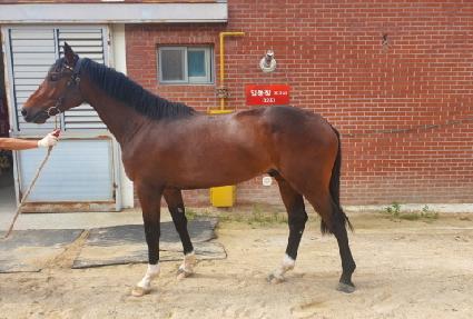 �밡�� ����