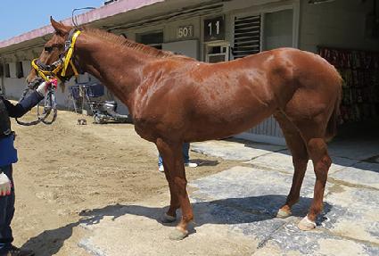 õ���� ����