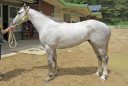 ������ ����