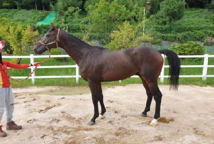 �ֶ��� ����