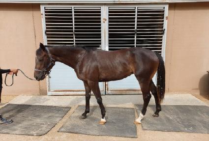 ���ֽϾ��� ����