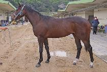 �ǿ������� (P N S VILL) ����