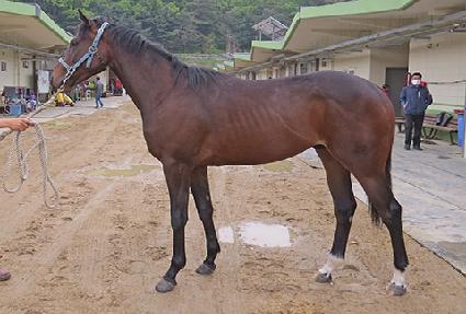 �ǿ������� ����