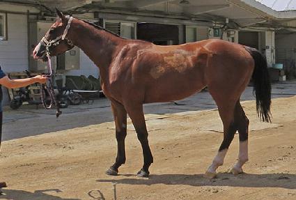 Ȳ�ĸ��� ����