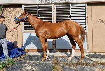 JEONGMUN CHITA picture