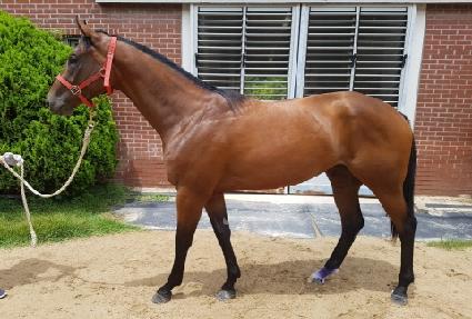 ��ٸ����� ����