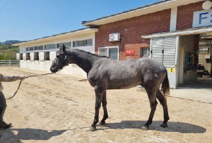 ���Ǹ� ����