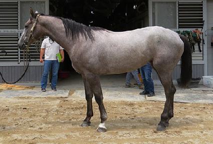 �����̹��� ����