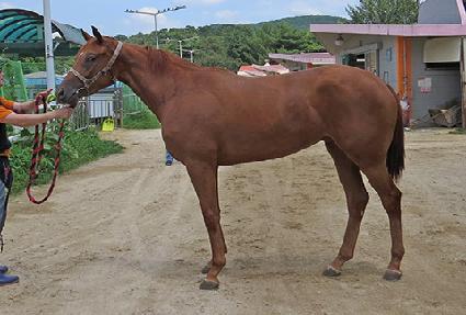 ����Ʈ�� ����