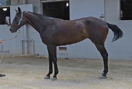 ������ ����