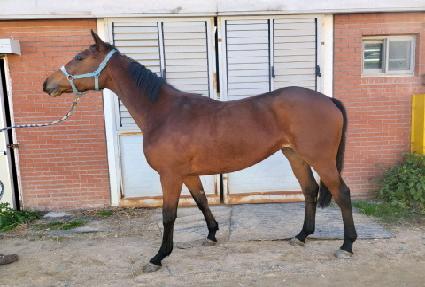 �۷ι�ĳó ����