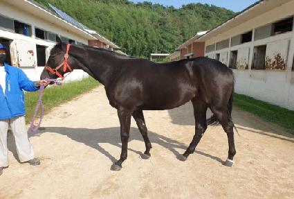 �������� ����