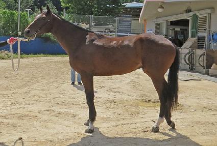 ���� ����