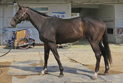 �߹����� ����