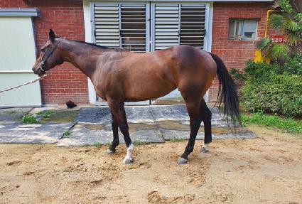 ������ ����