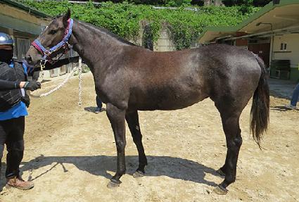 ��´��ǹ� ����