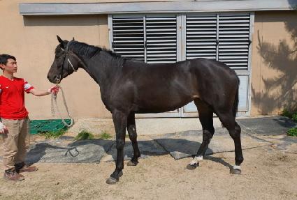 ���ǿ��� ����