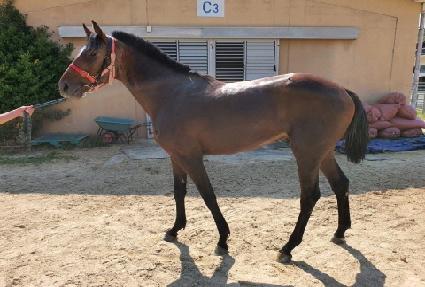 ����ȥ ����