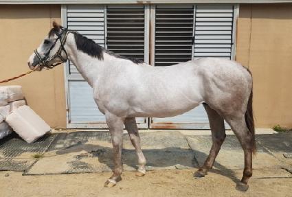 �س�¯�� ����