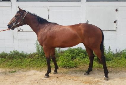 �ö��׸��� ����