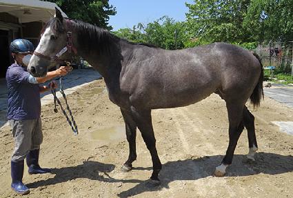 �ڽ��� ����