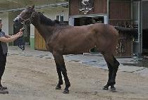 �־󸮺���Ʈ (JEWELRY BEST) ����