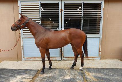 �Ϲ��� ����