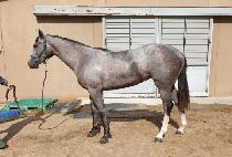 YEONGSEONG QUEEN picture