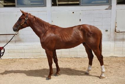 ���� ����