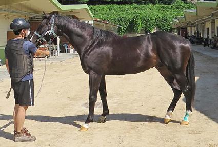 �Ⱦ���� ����