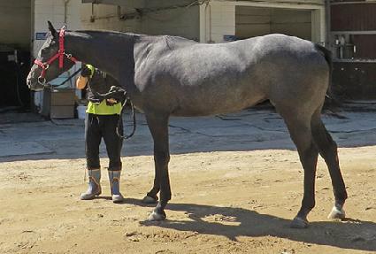 ���������� ����