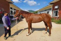 �̽��� (MISS GO) ����